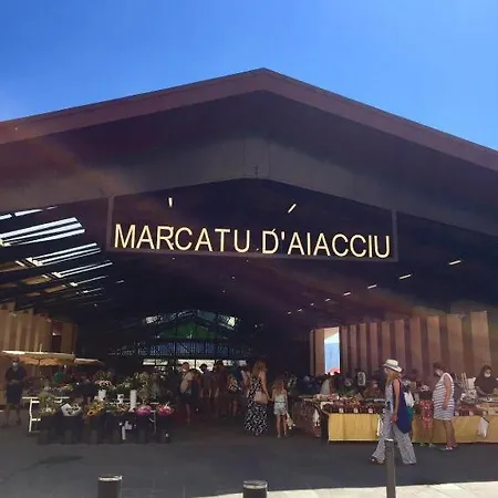 Vue Et Golfe Ajaccio (Corsica)